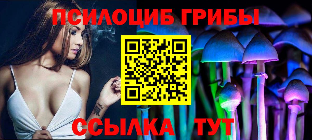 Шали  Псилоцибиновые грибы Psilocybe  Вход с VPN 