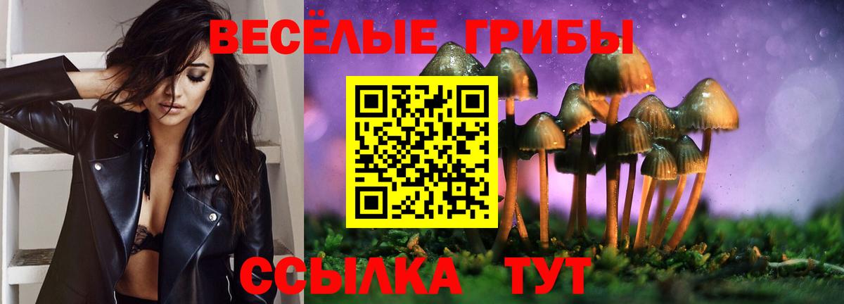 Галлюциногенные грибы Psilocybe Шали